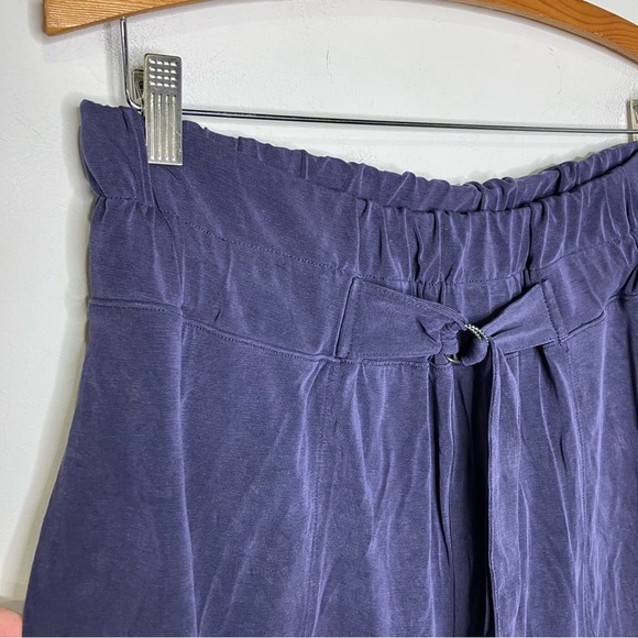 Saturday Sunday by Anthropologie wide leg pants paperbag waist  women’s large - Picture 3 of 9